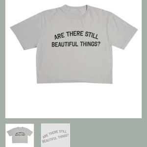 COPY - ARE THERE STILL BEAUTIFUL THINGS crop top XL